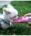 Portable Pet Water & Treat Bottle